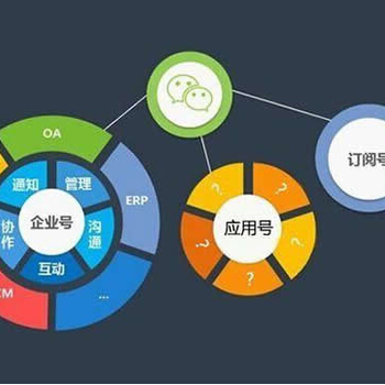 济南路行网络软件开发 企业数字化转型中的得力伙伴